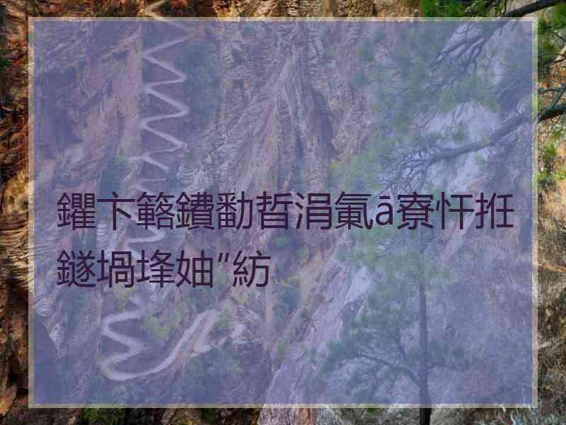 鑺卞簵鐨勫晢涓氭ā寮忓拰鐩堝埄妯″紡