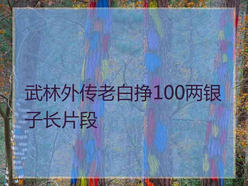 武林外传老白挣100两银子长片段