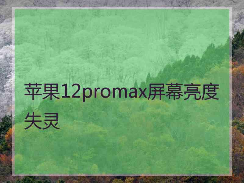 苹果12promax屏幕亮度失灵