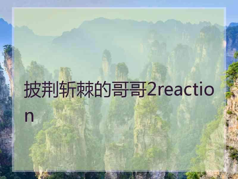 披荆斩棘的哥哥2reaction