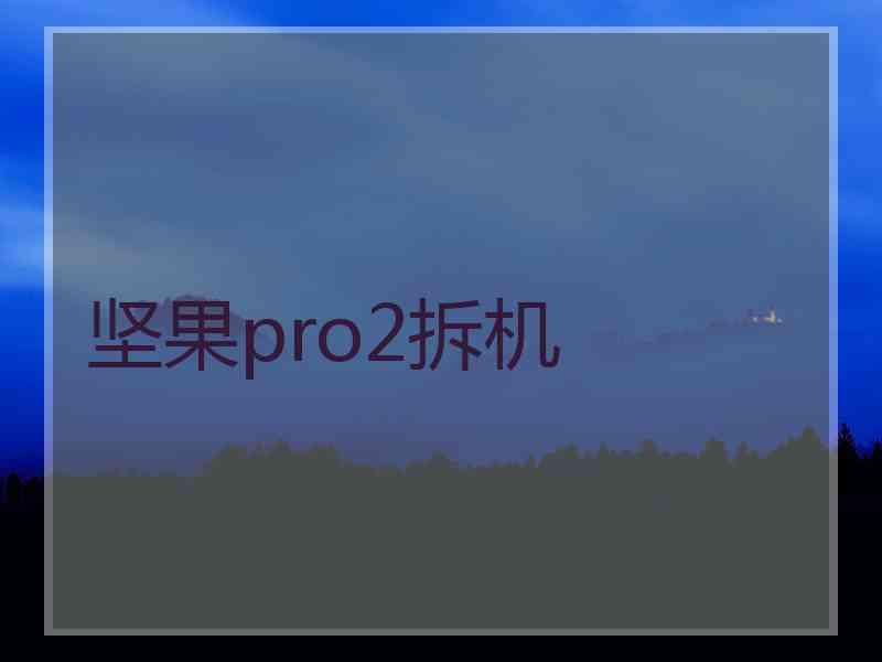 坚果pro2拆机