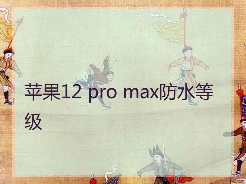 苹果12 pro max防水等级