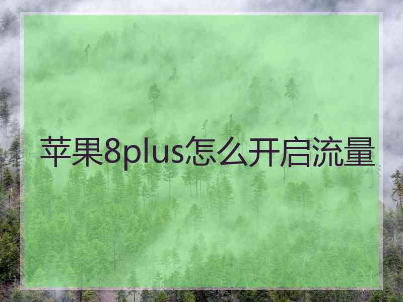 苹果8plus怎么开启流量