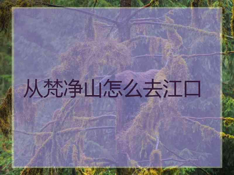 从梵净山怎么去江口