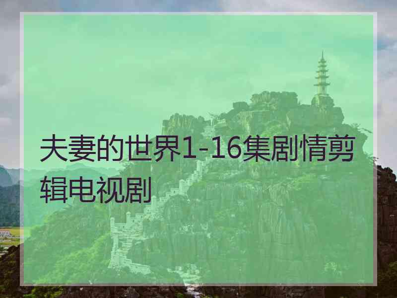 夫妻的世界1-16集剧情剪辑电视剧