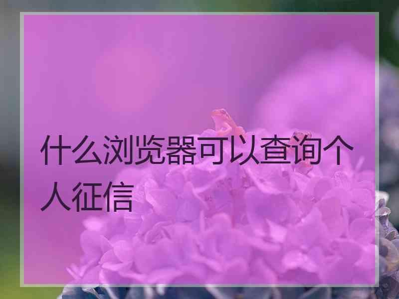 什么浏览器可以查询个人征信