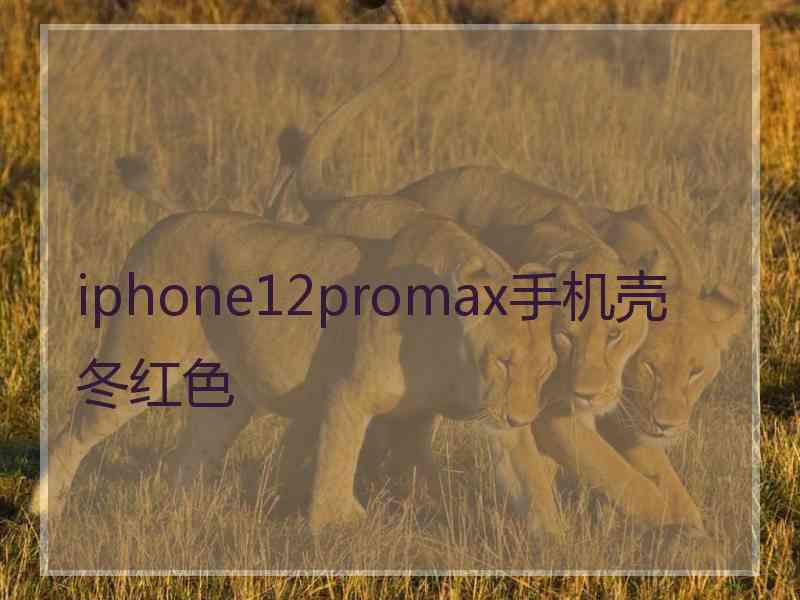 iphone12promax手机壳冬红色