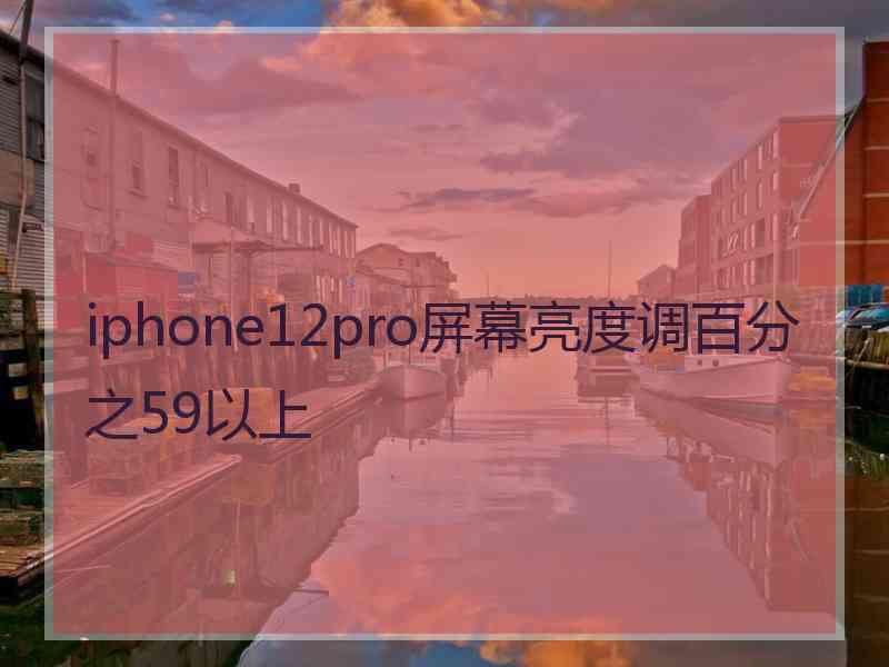 iphone12pro屏幕亮度调百分之59以上