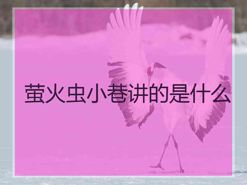 萤火虫小巷讲的是什么