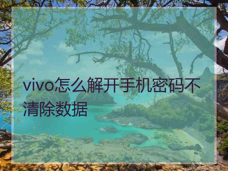 vivo怎么解开手机密码不清除数据