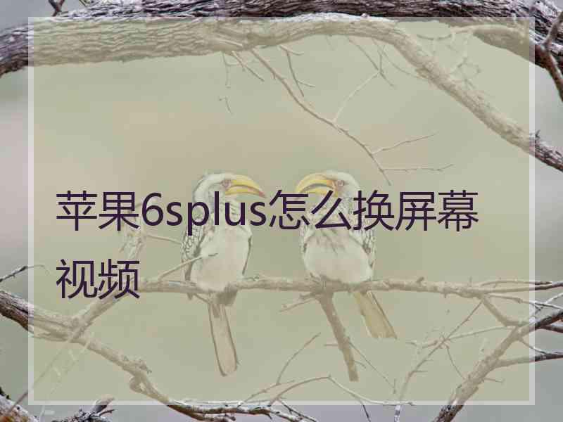 苹果6splus怎么换屏幕视频