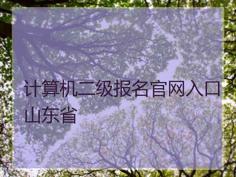 计算机二级报名官网入口山东省