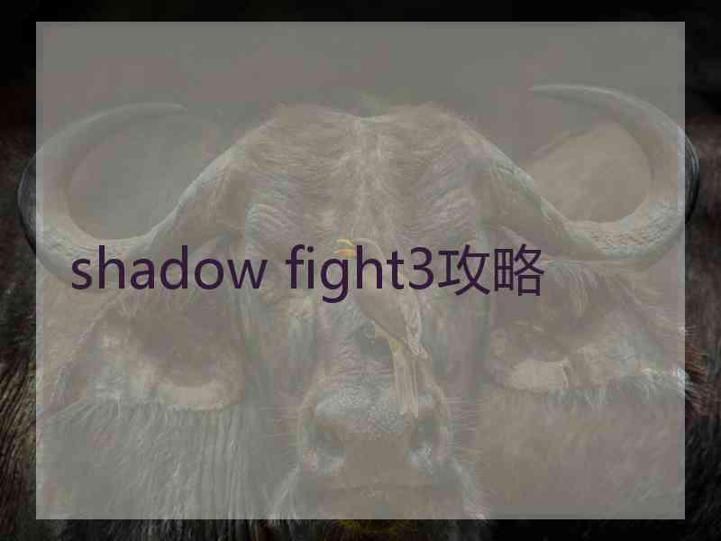 shadow fight3攻略