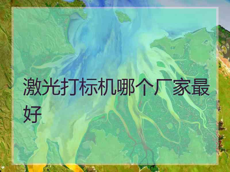 激光打标机哪个厂家最好