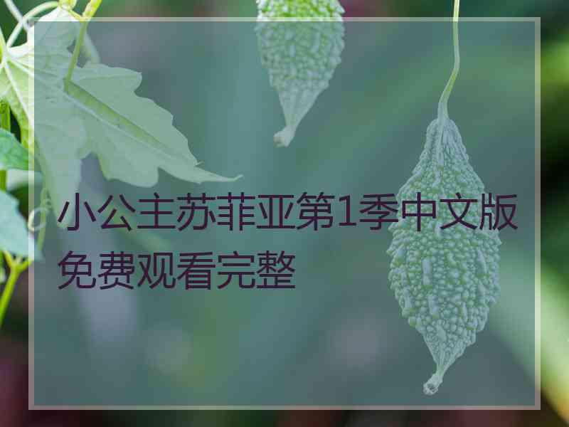 小公主苏菲亚第1季中文版免费观看完整