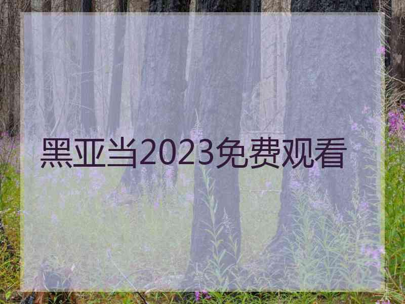 黑亚当2023免费观看