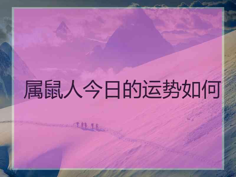 属鼠人今日的运势如何