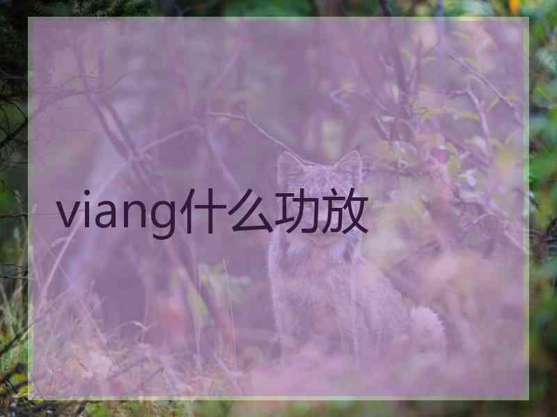 viang什么功放