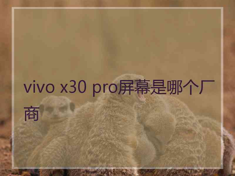 vivo x30 pro屏幕是哪个厂商