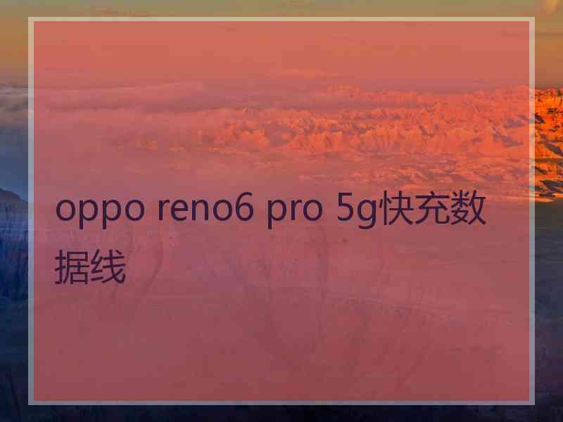 oppo reno6 pro 5g快充数据线