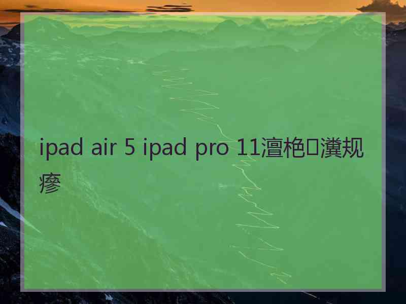 ipad air 5 ipad pro 11澶栬瀵规瘮