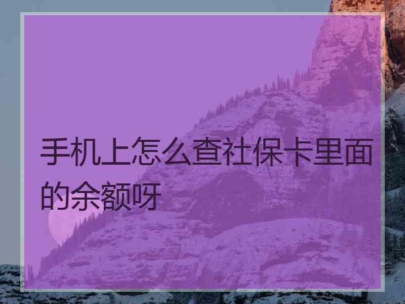 手机上怎么查社保卡里面的余额呀