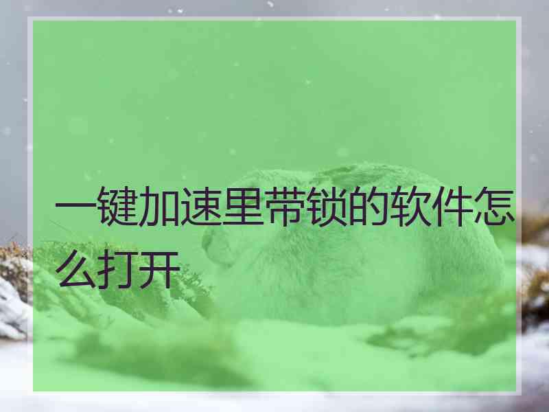 一键加速里带锁的软件怎么打开